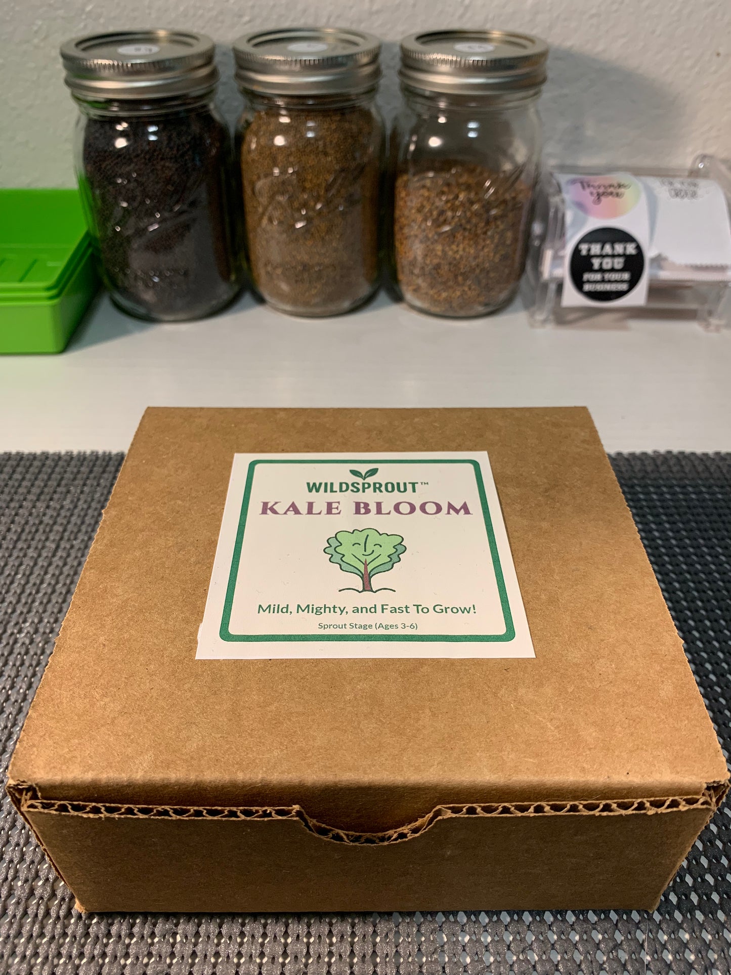 Wildsprout Microgreens Kit – Kale Bloom