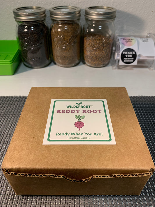 Wildsprout Microgreens Kit – Reddy Root (Radish)