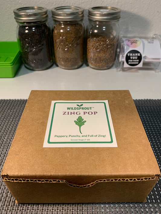 Wildsprout Microgreens Kit – Zing Pop (Arugula)