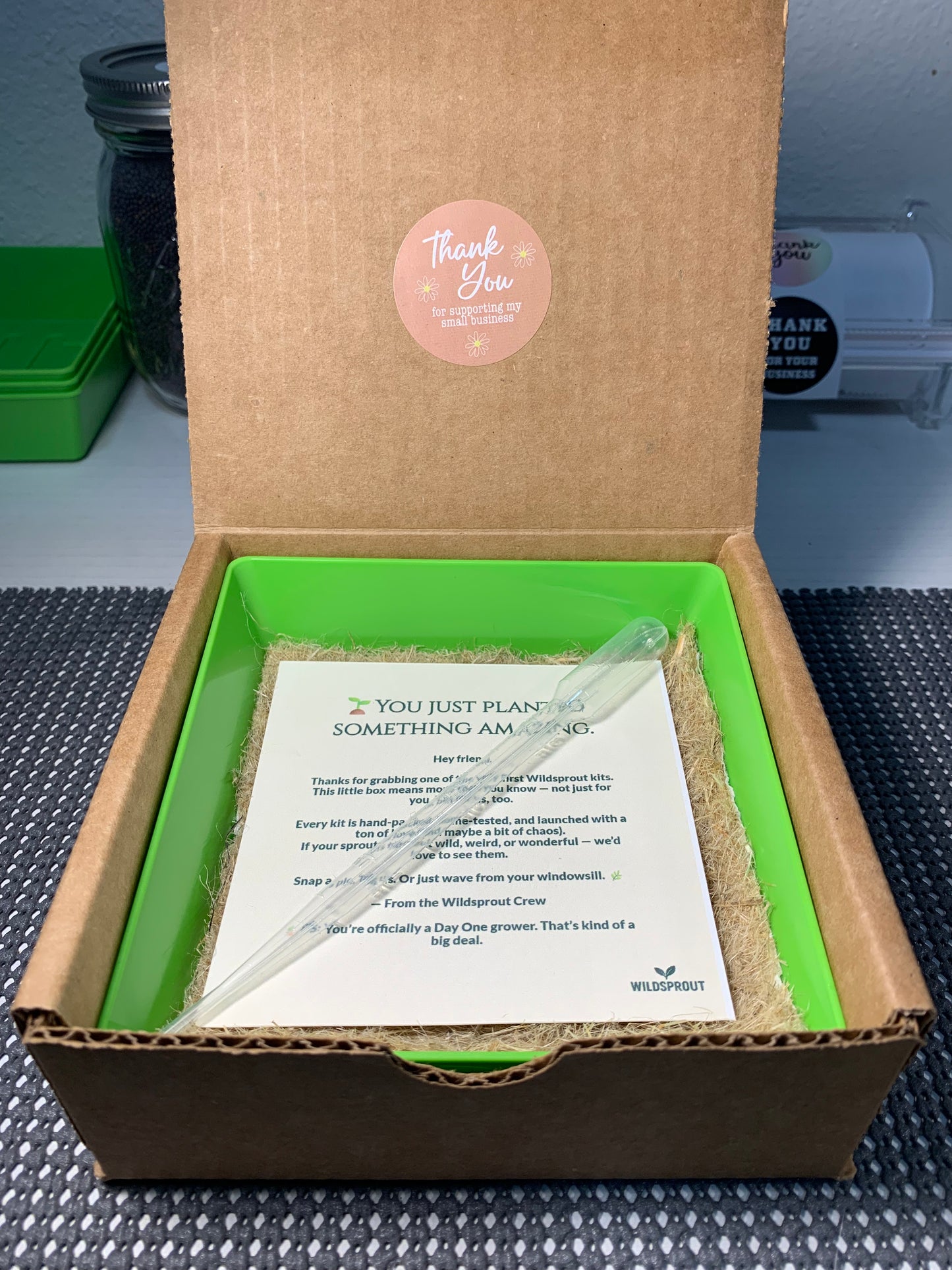Wildsprout Microgreens Kit – Reddy Root (Radish)