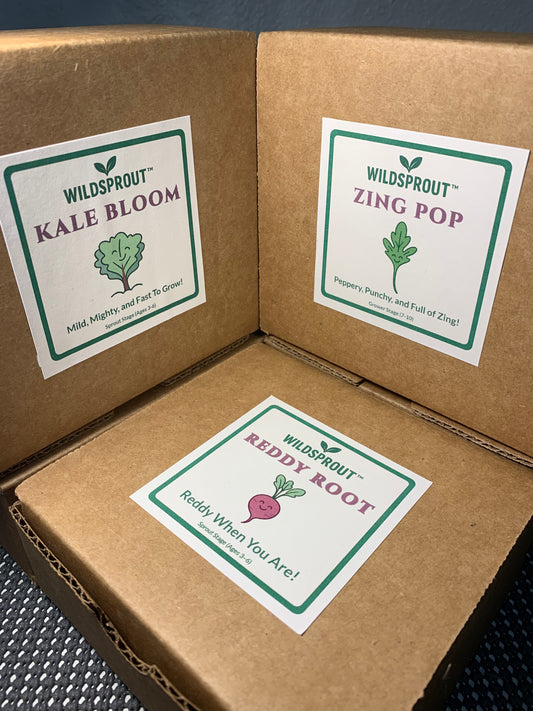 Wildsprout Family Pack – 3-Seed Microgreens Kit
